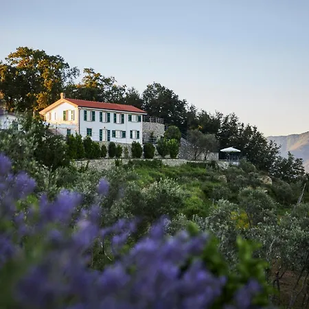 Il Leccio - Luxury Portofino Monte Station touristique Santa Margherita Ligure
