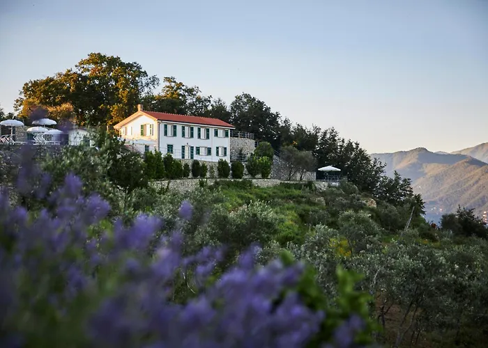 Il Leccio - Luxury Portofino Monte Θέρετρο Σάντα Μαργκερίτα Λιγκούρε